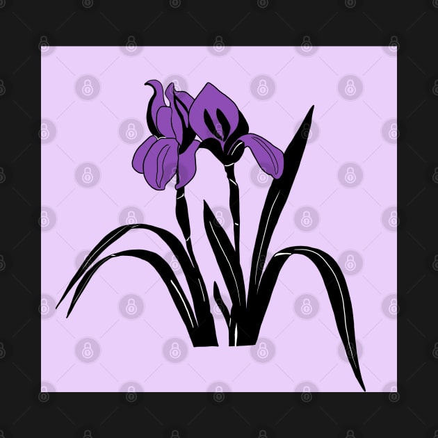 Purple Iris Flower by bloomingviolets