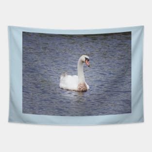 Mute Swan, Wild Birds, Wildlife Gifts Tapestry