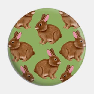 Cute Fluffy Rabbits Pin