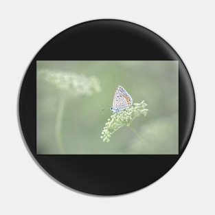 Common Blue Butterfly on Green Flower Pin