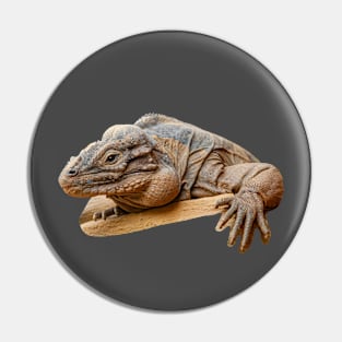 Head of a Rhinoceros Iguana Pin