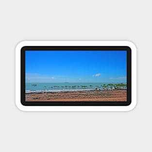 Mangroves on the Beach Magnet