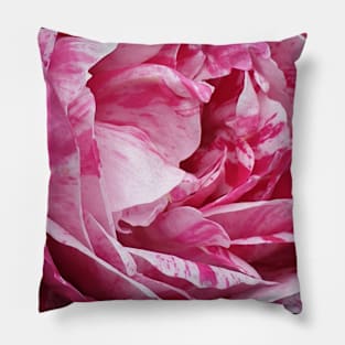 Pink Rose Pillow