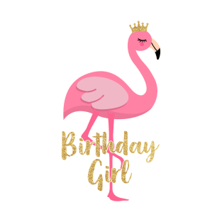 Flamingo Girl Birthday Costume Gift T-Shirt