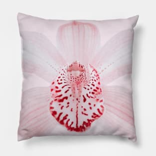 Light Pink Orchid Flower Element Pillow