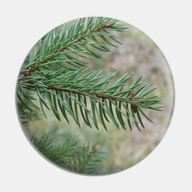 Spruce Pin by NatureFan