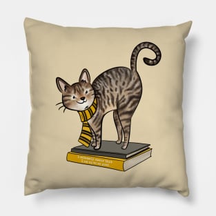 HP Yellow House Cat, Books and Quote Pillow