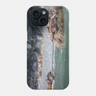 USA. Alaska. Seals. Phone Case