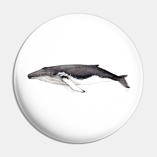 Humpback whale Pin by chloeyzoard