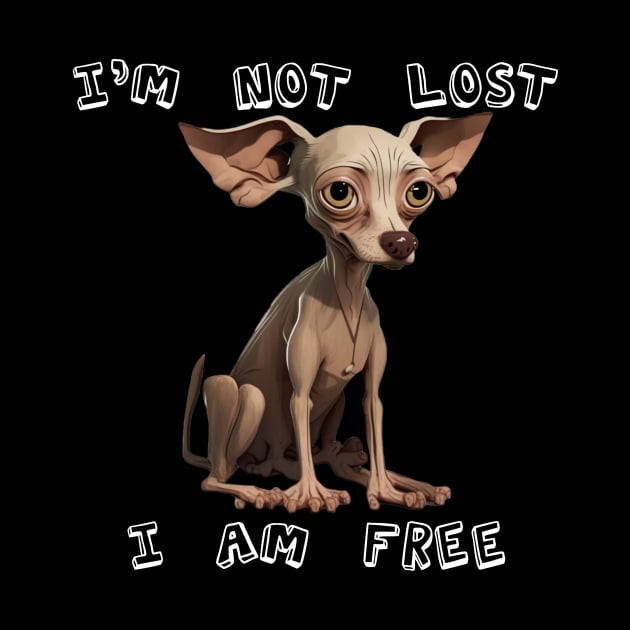 I´m not lost, I am free by ToAnk