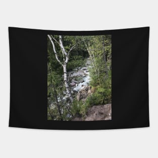 Beautiful Mountain Stream Tapestry