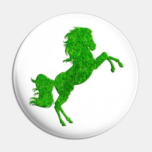 Love for horses Pin