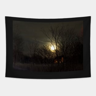 Dark Winter Full Moon Night Tapestry