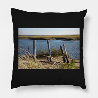 poles in the sand Pillow