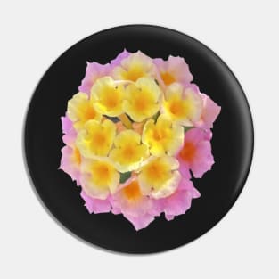 Yellow and Pink Lantana Camara Flower Pin