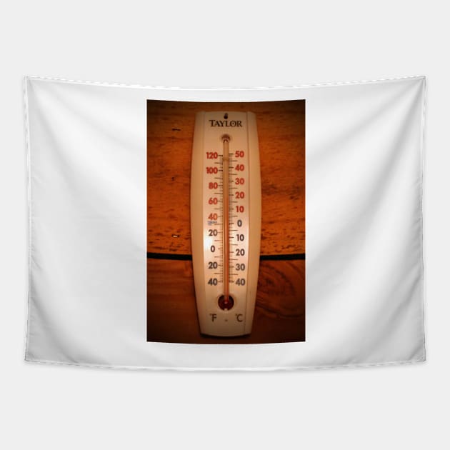 Wall Thermometer Tapestry by Cynthia48