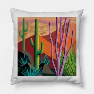 Tucson Desert (Square Format) Pillow