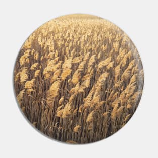 golden bulrush Pin