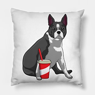 Boston Terrier with Drink Pillow
