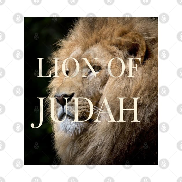 Lion of Judah by Imaginate