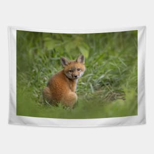 Red fox kit in the grass Tapestry