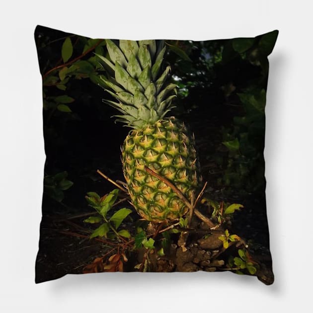 Pretty Plump Pineapple Pin, Mask, Tote Pillow by DeniseMorgan