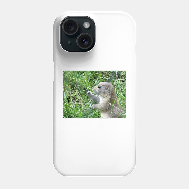 Cute Little Prairie Dog Phone Case by OneLook