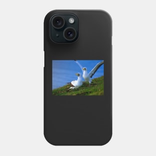 Gannets on Norfolk Island Phone Case