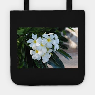 Frangipani or Yellow and White Flower Barbados Spring Tote