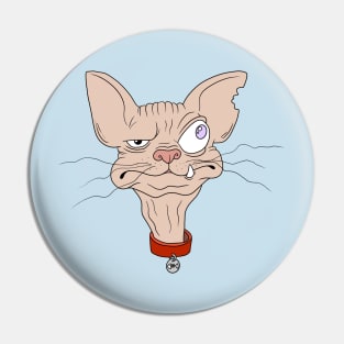 Crazy Cat Pin