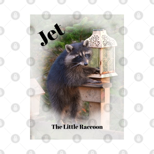 Jet, The Little Raccoon by rconyard