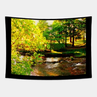 Park splendor Tapestry