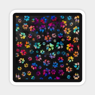 Colorful Paw Print Pattern Magnet