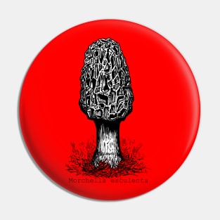 The Morel Pin