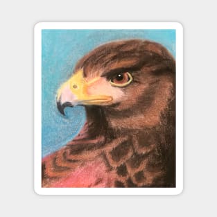 Red Hawk Artwork Magnet