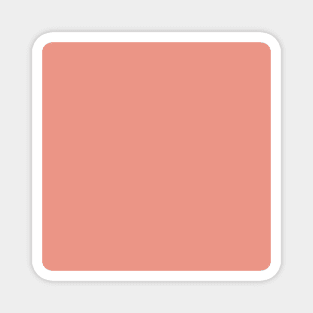 minimalist preppy chic girly Coral color Solid Blush pink Magnet