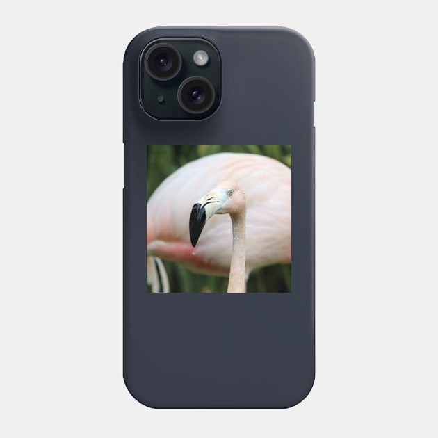 Flamingo Phone Case by croper