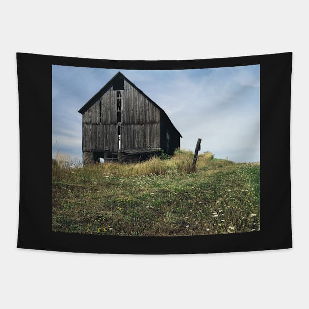 Barn in Spring Dansville, NY Tapestry by wolftinz