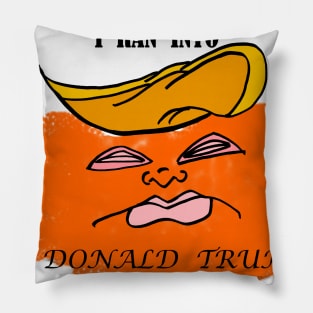 i RAN INTO TRUMP Pillow