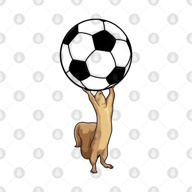 Squirrel with Soccer ball by Markus Schnabel