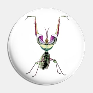 Praying Mantis Digital Painting Pin