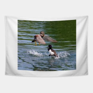 Gadwall V's Tufted Duck Tapestry