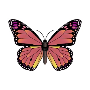 Cute Butterfly Design T-Shirt