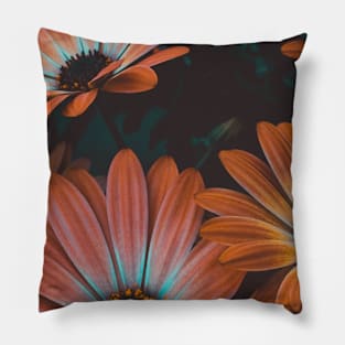 Daisy flower lover Pillow