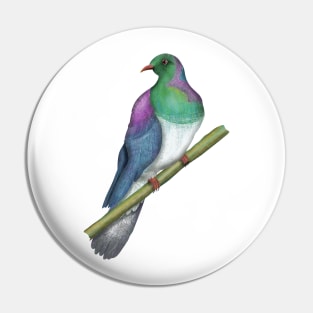 Wood pigeon Kereru New Zealand bird Pin