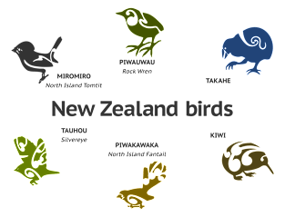 New Zealand Birds Magnet