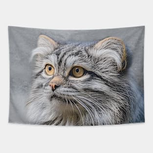 Pallas Cat Portrait Tapestry