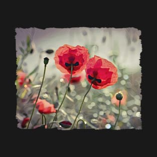 Red Poppies On A Summer Evening T-Shirt