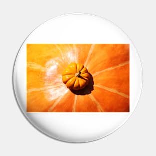 Small Pumpkin Pin