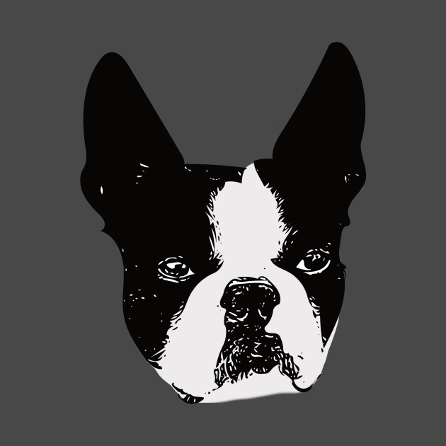 Boston Bull Terrier Face by DoggyStyles